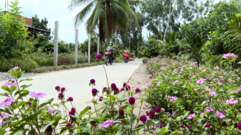 ចំណុចភ្លឺក្នុងការកសាងជនបទថ្មីនៅឃុំអាងនិញ ក្រុងកឹងធើ