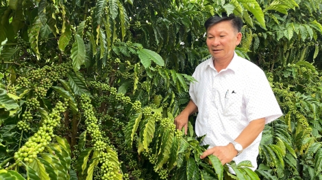 Sàh Gào, càr Gia Lai đòm jat niam bơhiàn cau ling khin cha jak chài nàng brồ guh pràn kơl dang 