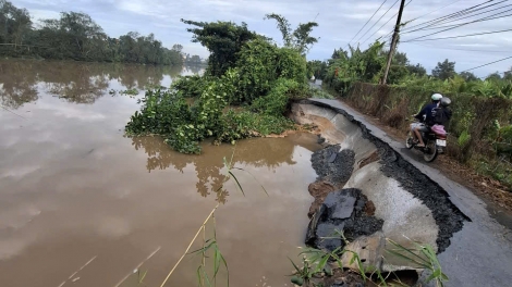 ពត៌មាន​ម៉ោង១៥