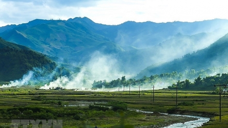 Phai paz nhây phiến