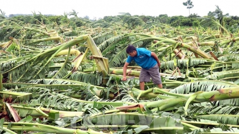 Tsaz yênhx nta suôz luk Hmôngz hmo 27-10-2025