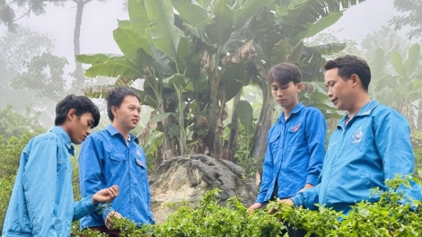 CHÀI BÁO CẦN MÔNG CÓ CỐC HẾT KIN TỨ TÀNG DƯỞNG CHAY CO MÁC PHẾT KHẨU