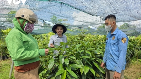 ĐHA NUÔR ĐÀ NẴNG Z’LÂH K’ĐHAP BHRỢ CHA  CA VAN