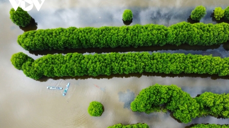  បញ្ហាប្រែក្លាយ«បង្គាទៅជាលុយពាន់លានដុល្លា អគ្គសនីដើរដោយឋាមពលខ្យល់រាប់ម៉ឺន MWនៅកាម៉ាវ។