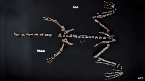 ពត៌មាន​ម៉ោង១៥