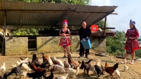 Nôngx mênhx zuôr tsuv pâuz hnuz 16-10-2025