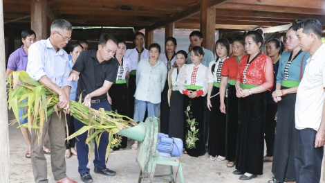 Ngon tô thứ 5 mự 16 căm bườn 10 pì 2025- Pi nọng chựa nọi côn Sờn Là piến thái lang ngắm vịa dệt