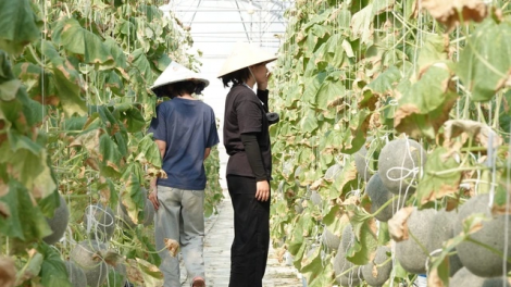 URANG KAMEI GAH PEI NEGAR PALA TAMUN HALAM PAGAM NGAK JIRAH RIVANG