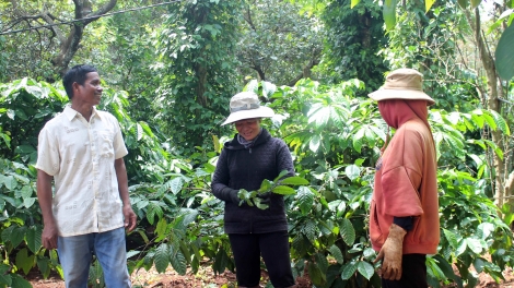 Lơh kơphe jăt gùng dà hữu kơ