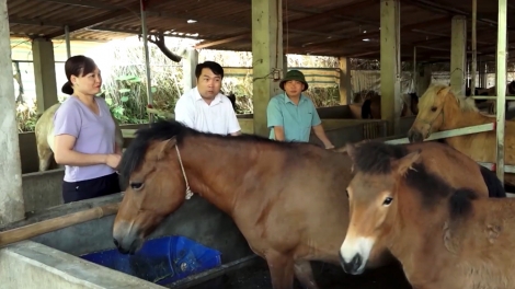 Chương trình phát thanh quam Tay thứ 2 mự 13 căm bườn 10 pì 2025