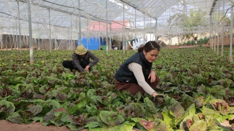  Ngon tô thứ 3 mự 14 căm bườn 10 pì 2025- Điện Biên hựt khửn té pưng chương trình luông pùn phén mương