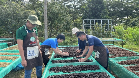 Đắk Lắk pơtho bơngai jang vă hơtŏk ‘lơ̆ng kơjă tơmam cheh phe 