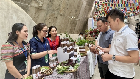 Tơlơi pơhing phrâo hrơi năm, lơ 4-10-2025