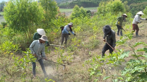 Pơđĭ kyar glai pla kyâo pơprong tui hăng tơlơi kiăng mơ̆ng EUDR khŏm hơmâo tơlơi gum ngă mơ̆ng “Pă anom bruă"”