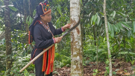 Chương trình phát thanh quam Tay, thứ 5 mự 23 căm bườn 10 pì 2025