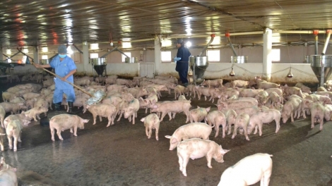 BĂN PA DƯR CỚ AOC ĐOỌNG PA CÂL BÊL TẾT