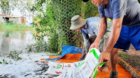 ចិញ្ចឹមត្រីស្រែសម្របតាមធម្មជាតិ។