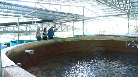 Tsaz yênhx nta suôz luk Hmôngz hnuz 27-10-2025