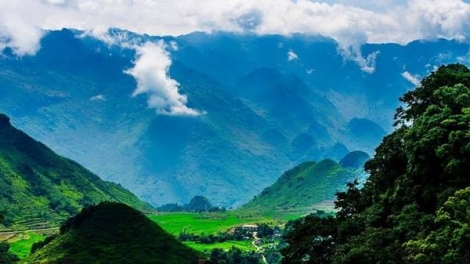 Phai paz nhây phiến