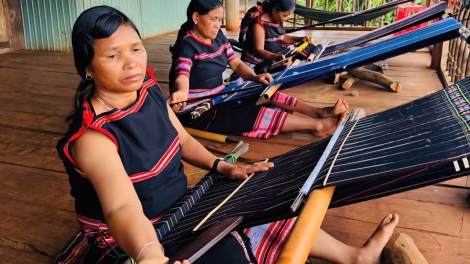 Hơnhăk tơdrong tanh brai jing tơmam pơyoa ăn tơmang lăng tơ̆ plei Kép, Gia Lai