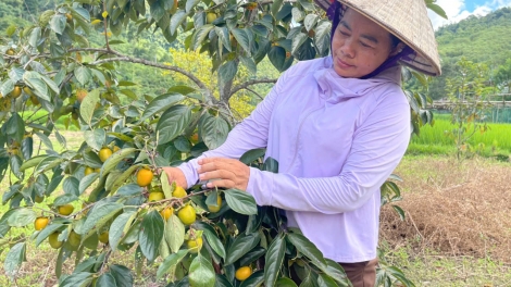 TÀNG HẾT KIN CHAY CO MÁC CHÍ TẢY CHÈN DÚ BÚNG SLUNG THÁI NGUYÊN