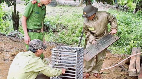 QUẢNG TRỊ: ĐHANUÔR PAĐƠP ĐOỌNG 2 P’NONG BHỌT CHR’NĂP PR’HĂT