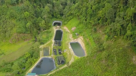 Nôngx mênhx zuôr tsuv pâuz hnuz 14-10-2025