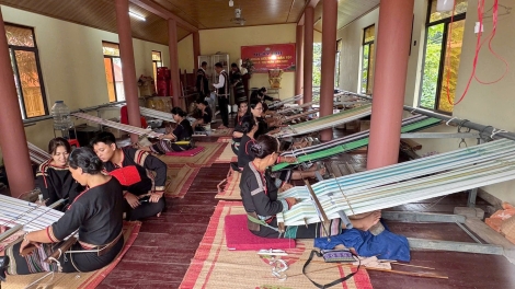 Nriêr pâuz lok cxuô heir nênhs Việt Nam cêr nênhx vênhx huôv jông hnuz 25-10-2025