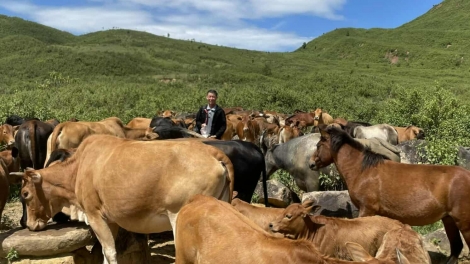 Nôngx mênhx zuôr tsuv pâuz hnuz 30-10-2025