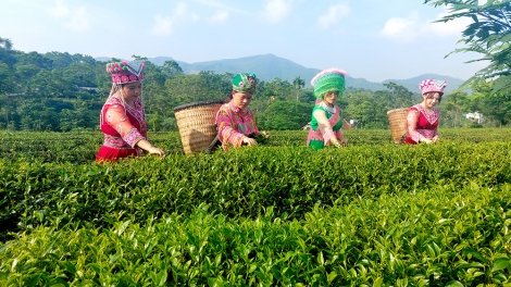 Cêr lov jêv hnuz ciêz xiêz 02-11-2025