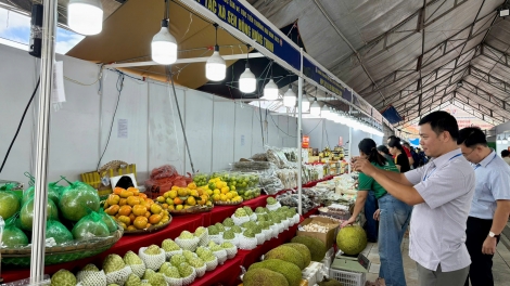 Tsaz yênhx nta suôz luk Hmôngz hnuz 14-10-2025