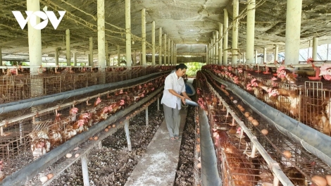 GAH RAONG GLANG NDUAC BREI KA GANAP NDAP NDA RAYA TET