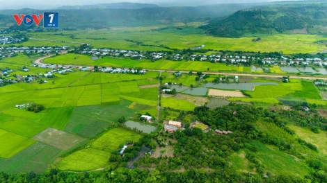 BILAN PADAI TATHAK DI AYUN HẠ