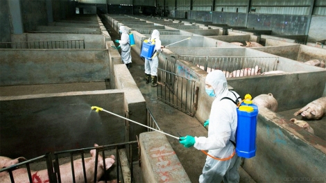 SLON PANG VIỂC PAO ỎN HẨƯ PHẤU TUA CÚA LIỆNG LĂNG XÁ PHÂN CẢI NẶM NOÒNG