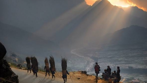 Phai paz nhây phiến