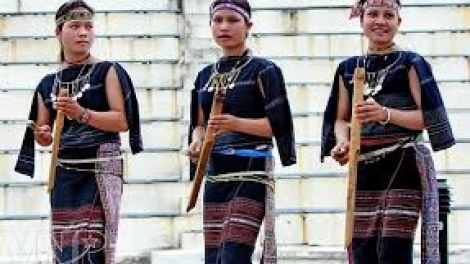 Bài ca Phụ nữ Việt Nam