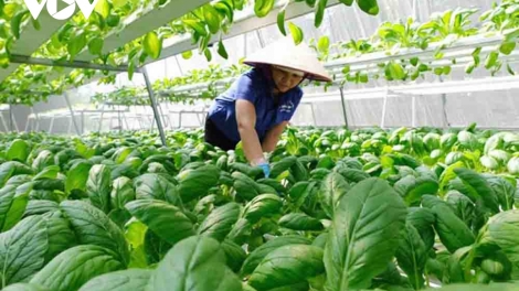  Chương trình phát thanh quam Tay thứ 4 mự 15 căm bườn 10 pì 2025