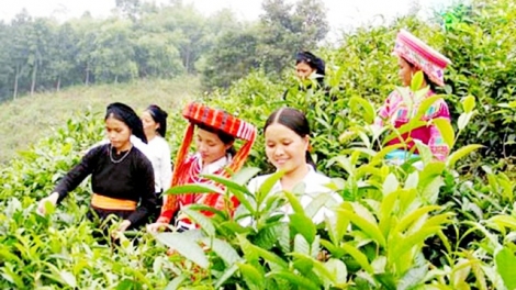 Chêi têz qơưs hnuz xiêz 3/10/2025