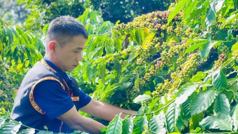 Bài ca Nông dân Việt Nam