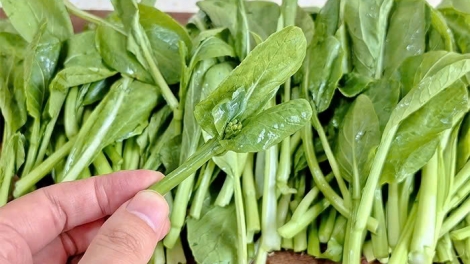 3 RÂU BHƠI R’VEH HÂN NOO C’LOOT VÊY BÂC CANXI ZÂP NGAI CHOOM CHA TA LUÔN