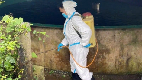 Lào Cai canz phiếu dểnh tóng ziêm, bùng tangz pảnh tzình gang hít tùi buỷng thuất lổ