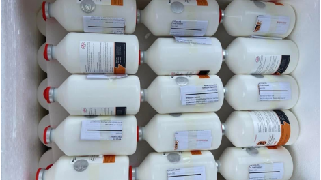 Ngon tô tênh căm thứ 4 mự 29 căm bườn 10 pì 2025- Chự hiềm cánh xủ vắc xin cuồng vịa tảnh liệng