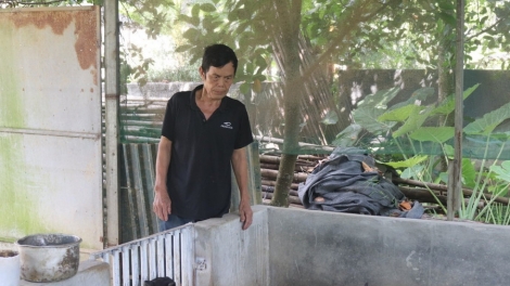 LIỆNG MU ĐĂM VẠ CÁY MÍA HẾT CHÀU