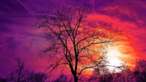 Danak dak sap Cam 23_10_2025