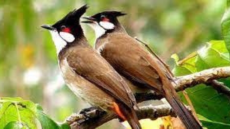 Bi êdah asăp khăp êkei mniê