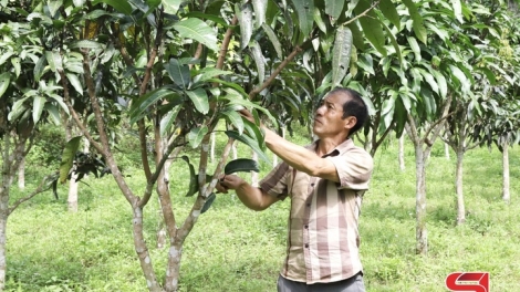 Bí thư chi bộ ló chaoz chamz ngỏ zỉa chổm pun láng tẩy