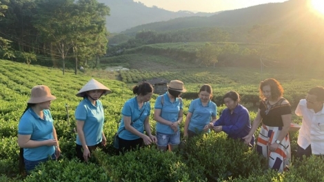 CLONG GHỀNH CHÈ- ĐHỊ LIÊM PR’HAY ÂNG  THÀNH PHỐ SÔNG CÔNG