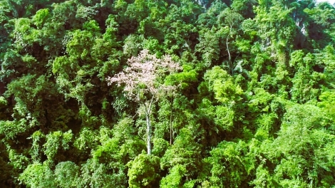 P’RƠƠM LIÊM CHR’NĂP ĐHỊ K’TIÊC QUẢNG TRỊ