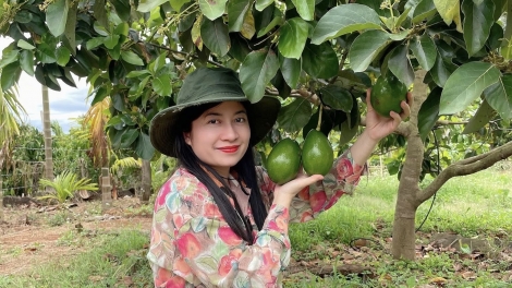 Pơphun bơwih ƀong gơnam hơmâo ƀơi ƀon lan kual Dap kơdư-Dơnung tong krah