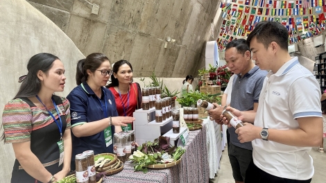 Pơjing tơdrong jang đơ̆ng dôm tơdrong đei kơdih kơ Tây Nguyên -Nam Trung Bộ
